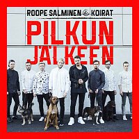 Přední strana obalu CD Pilkun jalkeen