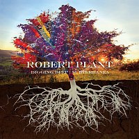 Robert Plant – Digging Deep: Subterranea