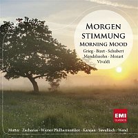 Various  Artists – Morgenstimmung - Morning Mood