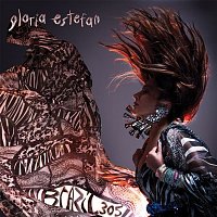 Gloria Estefan – BRAZIL305