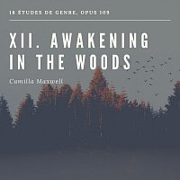 18 Études de genre, OP. 109: XII. Awakening in the Woods