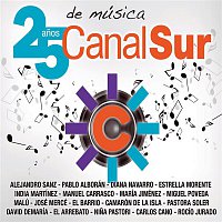 Various Artists.. – Canal Sur. 25 anos de música