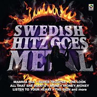 Reinxeed – Swedish Hitz Goes Metal