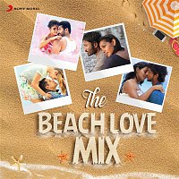 Various  Artists – The Beach Love Mix