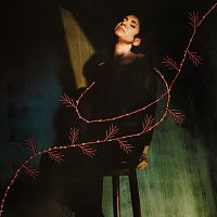 Přední strana obalu CD Captive Silence