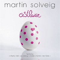 Martin Solveig – C'est la vie