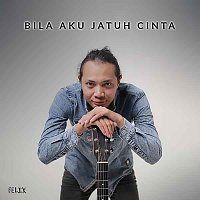 Felix Irwan – Bila Aku Jatuh Cinta