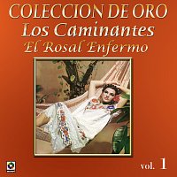 Los Caminantes – Colección De Oro: La Trova Yucateca, Vol. 1