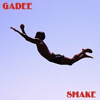 GADEE – Shake
