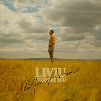 Liviu Teodorescu – Mă arunc