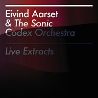 Eivind Aarset – Live Extracts