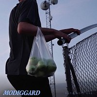 Adrian Modiggard – Sana som oss