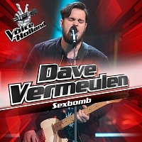 Dave Vermeulen – Sexbomb [From The Voice Of Holland 6]