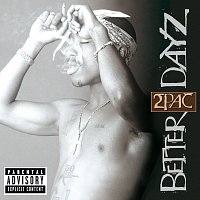 Přední strana obalu CD Better Dayz