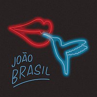 Joao Brasil, Bateria da Beija-Flor – Eu Vou Beijar Essa Flor