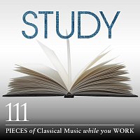 Přední strana obalu CD Study: 111 Pieces Of Classical Music While You Work