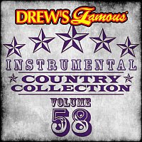 Přední strana obalu CD Drew's Famous Instrumental Country Collection [Vol. 58]