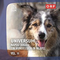 Kurt Adametz – ORF Universum Vol.11