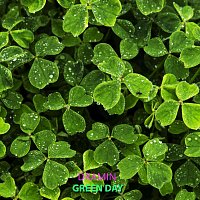 DRAMIN – Green Day