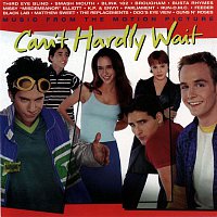 Various Artists.. – Can't Hardly Wait