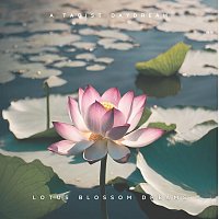 Lotus Blossom Dreams