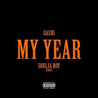 My Year REMIX