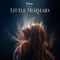 Halle – Part of Your World [From "The Little Mermaid"]