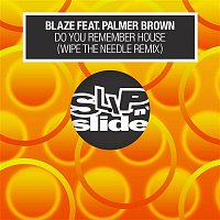 Blaze – Do You Remember House? (feat. Palmer Brown) [Wipe the Needle Remixes]