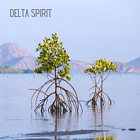 Bali Meditation Group – Delta Spirit