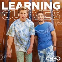 CB30 – Learning Curves