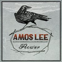 Amos Lee – Flower