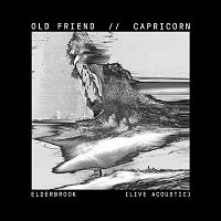 Elderbrook – Old Friend / Capricorn (Live Acoustic)