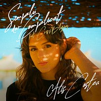 Alis Costea, Criss Blaziny – Simplu, dar complicat