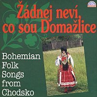 Přední strana obalu CD Žádnej neví, co sou Domažlice, Bohemian Folk Songs From Chodsko