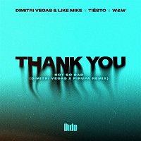 Thank You (Not So Bad) (Dmitri Vegas & Pirupa Remix)