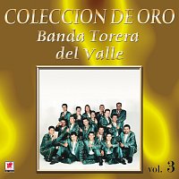 Banda Torera del Valle – Colección De Oro, Vol. 3