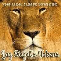 Jay Siegel's Tokens – The Lion Sleeps Tonight