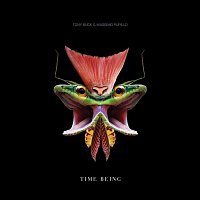 Massimo Pupillo, Tony Buck – Time Being