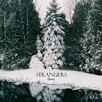 Feist – Strangers [Live]