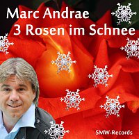 Marc Andrae – 3 Rosen im Schnee