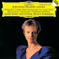Přední strana obalu CD Brahms: Lieder