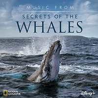 Music from Secrets of the Whales [Original Soundtrack]