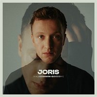 JORIS – Steine