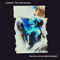 You Tore Out My Heart [Anatole Remix]