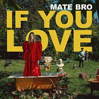 Přední strana obalu CD If You Love (Single Version)