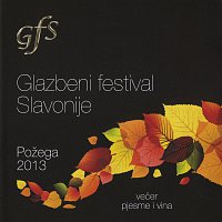 Různí interpreti – Glazbeni festival Slavonije Požega 2013 -Razni izvođači