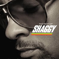 The Best Of Shaggy