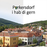 Clemens Schaller – Purkersdorf, i hab di gern