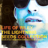 Lightning Seeds – Life Of Riley - The Lightning Seeds Collection