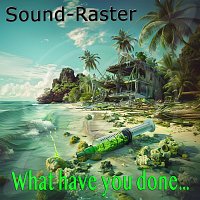 Sound-Raster – What Have You Done ...